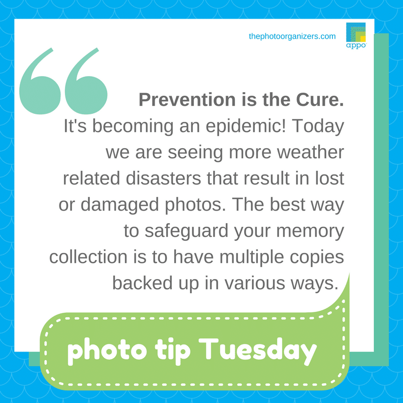 Photo Tip: Prevention is the cure. | ThePhotoOrganizers.com