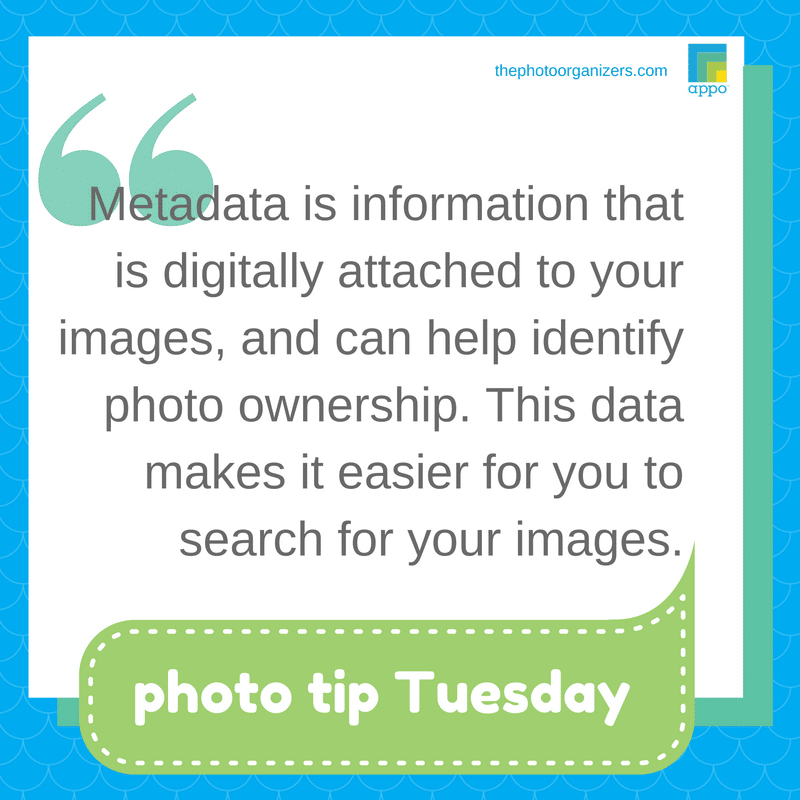 Photo Tip Tuesday: What is Metadata? | ThePhotoOrganizers.com
