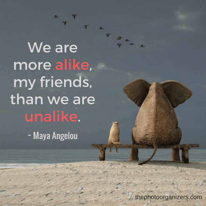 We are more alike, my friends, than we are unalike. ~ Maya Angelou | ThePhotoOrganizers.com