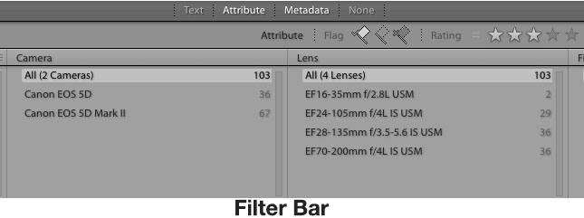 Adobe Lightroom Basics for Photo Organizing