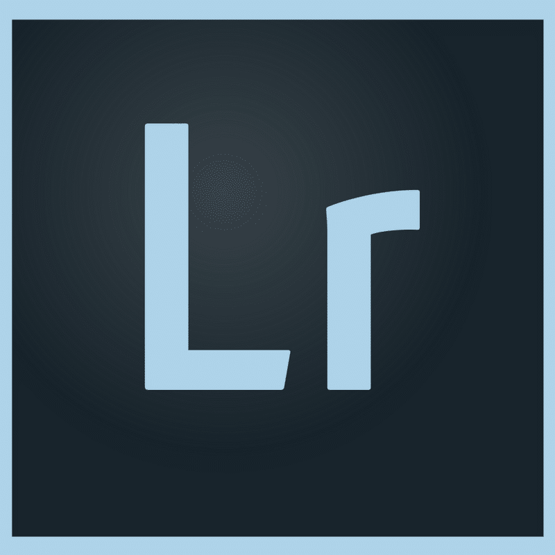 Adobe Lightroom Basics for Photo Organizing | ThePhotoOrganizers.com