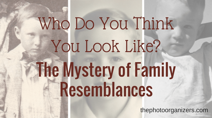 Who Do Think You Look Like? The Mystery of Family Resemblances | ThePhotoOrganizers.com