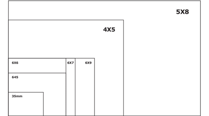 Film Negative Size Chart