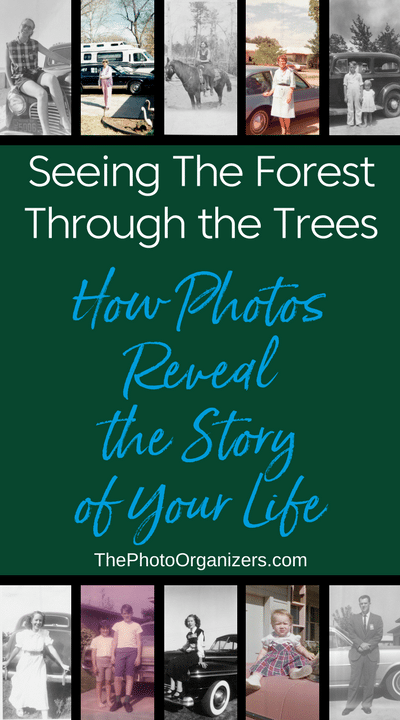 Seeing the Forest for the Trees: How Photos Reveal the Story of Your Life | ThePhotoOrganizers.com