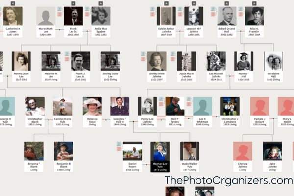 Preserving Your Family History | ThePhotoOrganizers.com