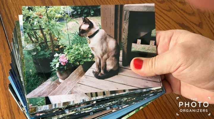 Printed Photos - Organizing Your Memories - Aquahaven747