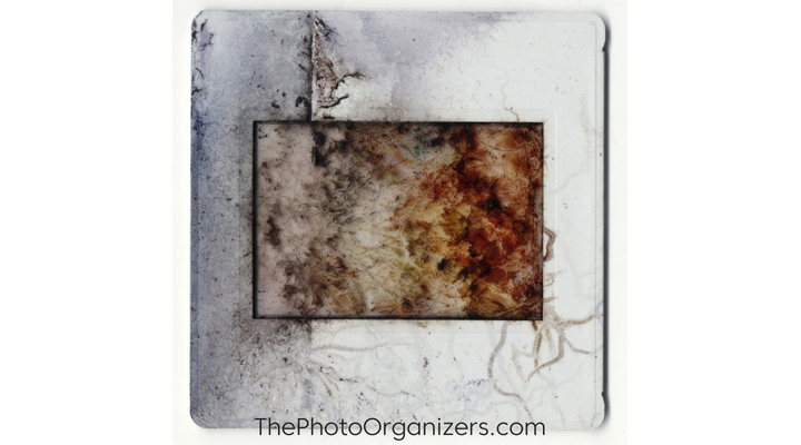 Caution: Old Photos May Be Hazardous to Your Health: 5 items needed when handling moldy photos | ThePhotoOrganizers.com