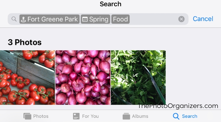 Apple Photos: Finding Your Pictures More Easily with iOS12 | ThePhotoOrganizers.com